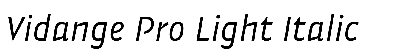Vidange Pro Light Italic